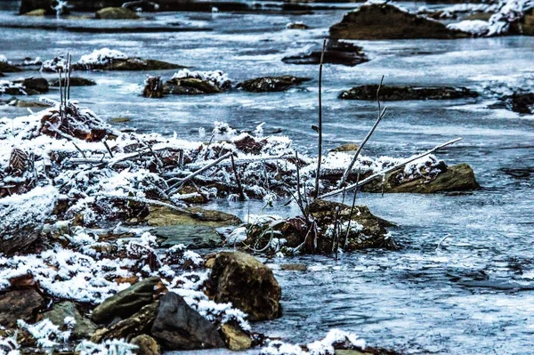 Río Congelado Bosque Durante Invierno —  Fotos de Stock