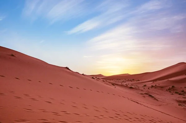 Een Landschap Van Zandduinen Met Dierensporen Tegen Een Zonsondergang Lucht — Stockfoto
