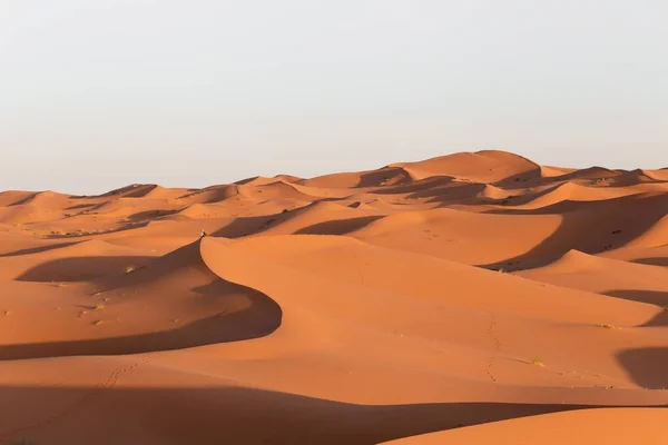 Gyönyörű Táj Homokdűnék Egy Sivatagi Területen Egy Napsütéses Napon — Stock Fotó