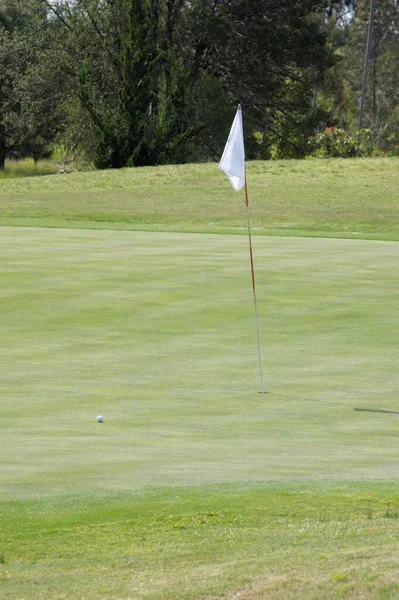 Tiro Vertical Una Bandera Campo Golf Verde —  Fotos de Stock