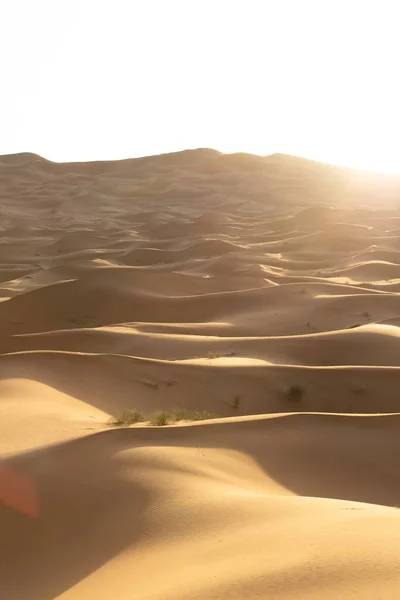 Een Prachtig Landschap Van Zandduinen Een Woestijngebied Een Zonnige Dag — Stockfoto