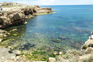 The moss formations in the water at the Los Locos beach, Torrevieja, Spain clipart