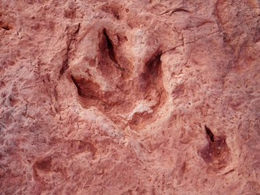 Foot print of a dinosaur in the Arizona desert, USA, close to Tuba City . Mark in red stone on the ground, centered. clipart