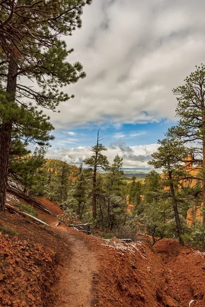 Les Arbres Les Roches Sablonneuses Rouges Red Canyon Dans Forêt — Photo