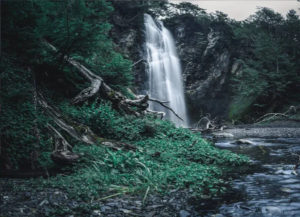 Tiro Perto Uma Cachoeira Floresta — Fotografia de Stock
