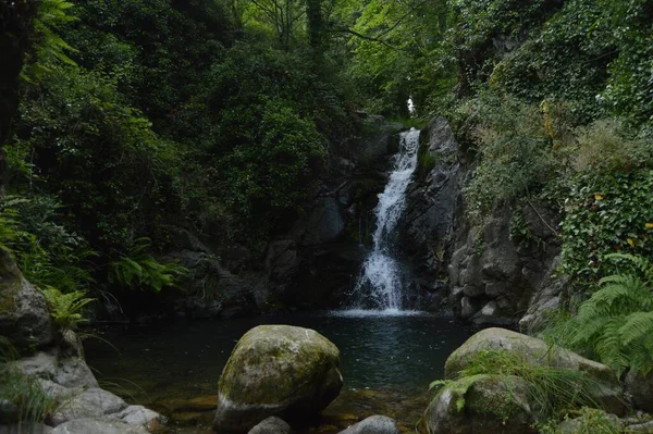 Beautiful Shot Small Waterfall Cascading Forest Next Rocks — Stock Photo, Image