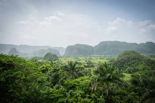 Landscape Shot Tropical Viales Valley Vinales Cuba — Stock Photo, Image