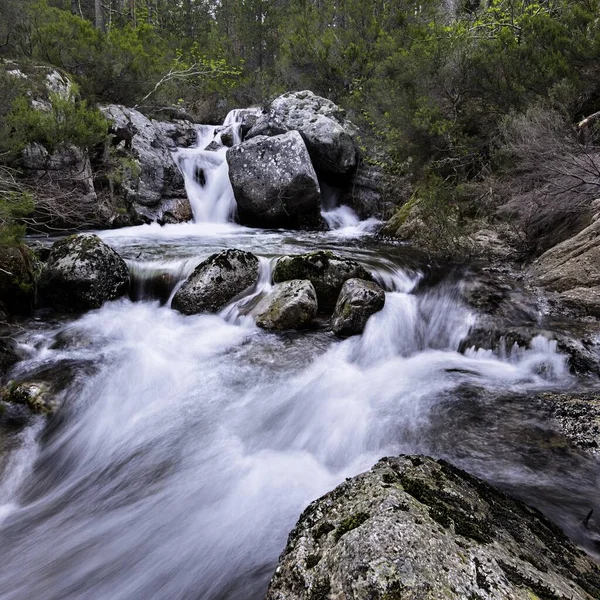 Tiro Vertical Uma Pequena Cachoeira Uma Floresta Verde Cascata Pelas — Fotografia de Stock