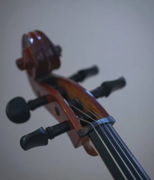 Vertikal Selektiv Fokusbild Cellos Pegbox Med Vit Bakgrund — Stockfoto