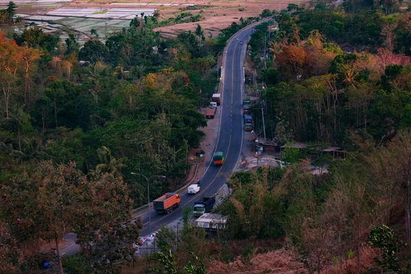 Beau Plan Une Route Entourée Paysage Arbres — Photo