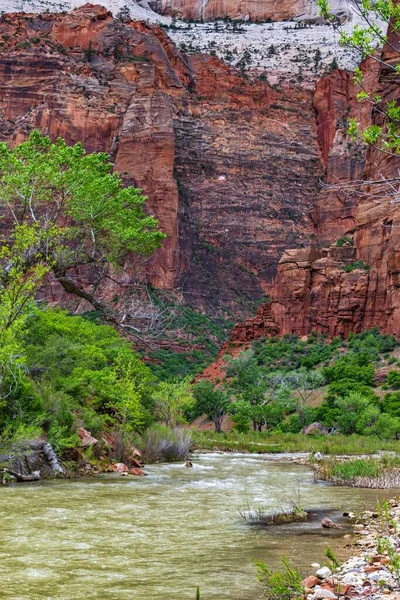 Vertical Shot River Rocks Zion National Park Utah Usa — Stock Photo, Image