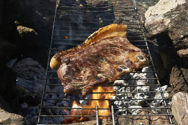 Gros Plan Cuisson Viande Juteuse Sur Gril — Photo