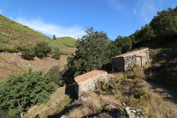 Several Old Buildings Mountain Covered Trees — Stock Photo, Image