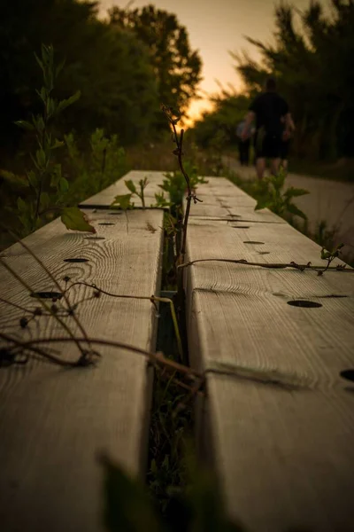 Eine Gemusterte Holzbank Mit Pflanzen Und Gras Einem Park — Stockfoto