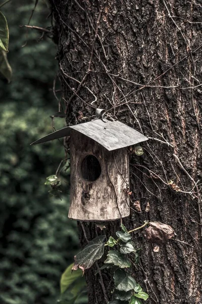 Een Verticaal Selectief Focusshot Van Een Houten Vogelhuisje Een Boomstam — Stockfoto