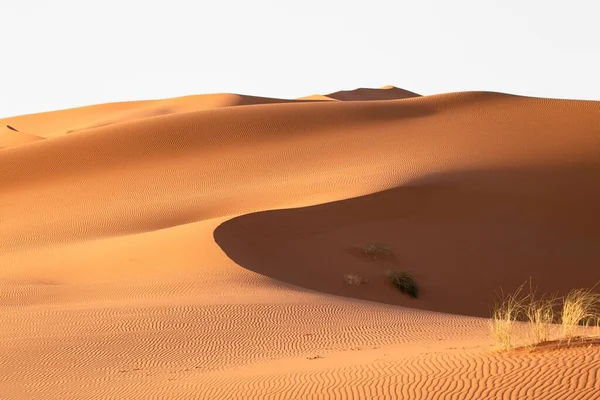 Een Prachtig Landschap Van Zandduinen Een Woestijngebied Een Zonnige Dag — Stockfoto