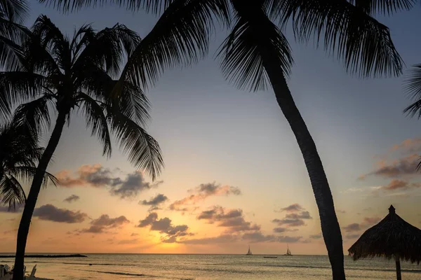 Horizontální Snímek Krásného Výhledu Moře Palmami Plážovým Deštníkem Při Západu — Stock fotografie