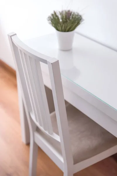 一个白色的现代风格的椅子和一个桌子 顶部有一个盆栽 — 图库照片