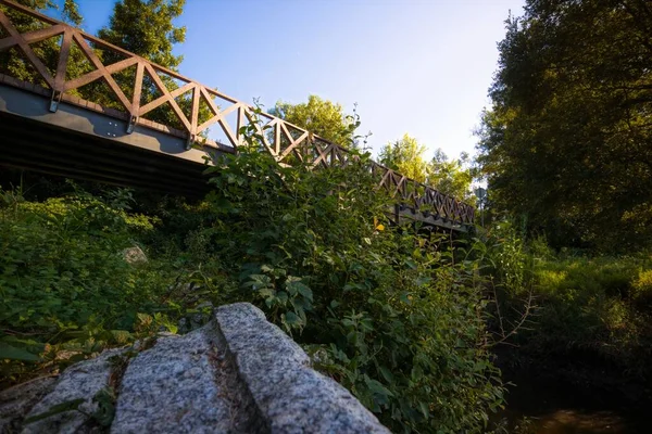 Largo Puente Rodeado Plantas Árboles Bajo Cielo Azul — Foto de Stock