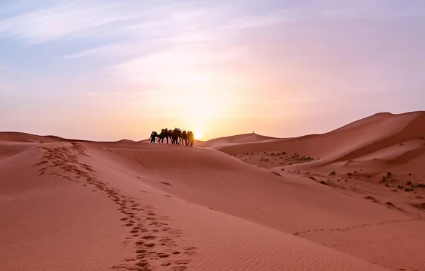 Landscape Sand Dunes Animal Tracks Camels Distance Sunset Sky — Stock Photo, Image