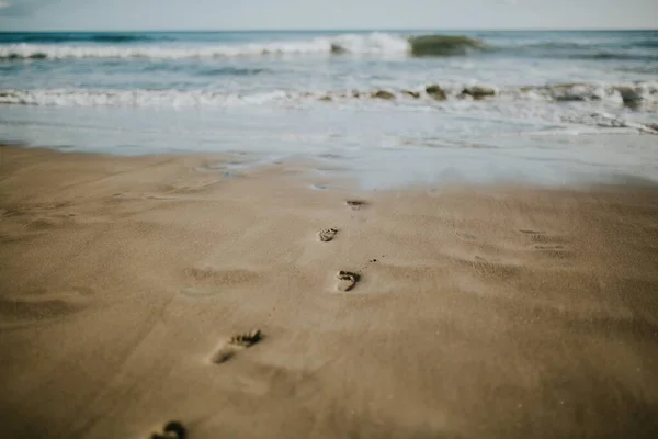 Primo Piano Impronte Una Spiaggia Sabbiosa Che Conduce All Acqua — Foto Stock