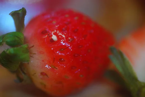 Eine Selektive Fokusaufnahme Einer Frischen Erdbeere Perfekt Für Den Hintergrund — Stockfoto