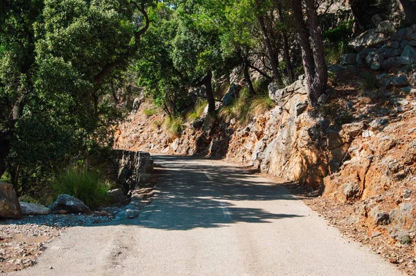 Cesta Obklopená Stromy Slunečného Dne Vesnici Mallorca — Stock fotografie