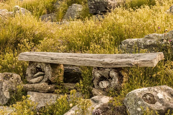 Colpo Paesaggio Una Panchina Legno Nella Natura — Foto Stock