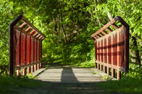 Una Hermosa Foto Viejo Puente Rojo Bosque — Foto de Stock