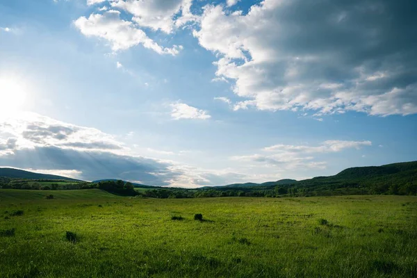 Zelené Pole Zamračenou Ranní Oblohou Kopci Pozadí — Stock fotografie