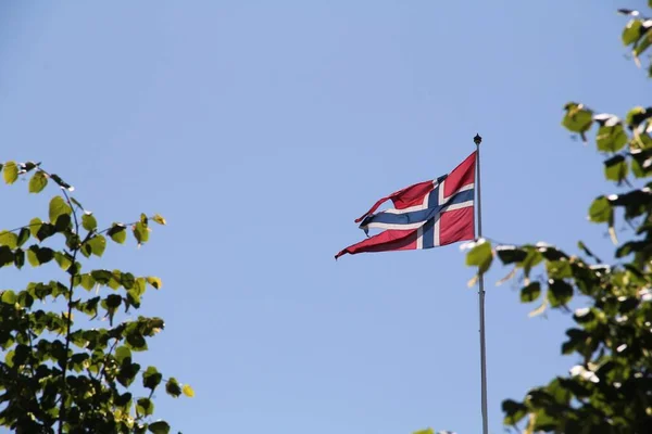 Bandeira Noruega Acenando Céu Azul Com Galhos Árvores Primeiro Plano — Fotografia de Stock