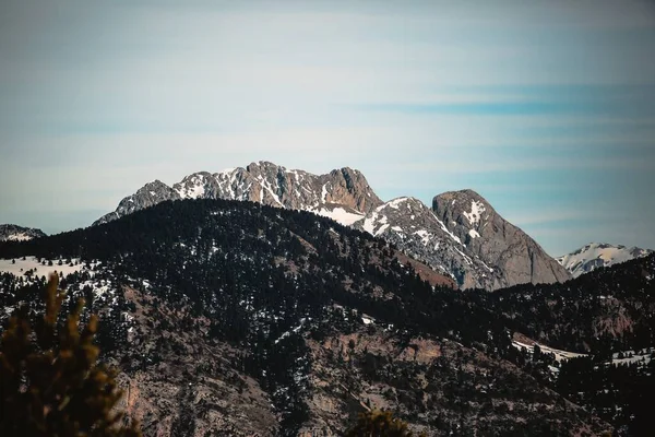 Een Prachtig Uitzicht Bomen Bergketens Met Sneeuw Onder Een Helderblauwe — Stockfoto