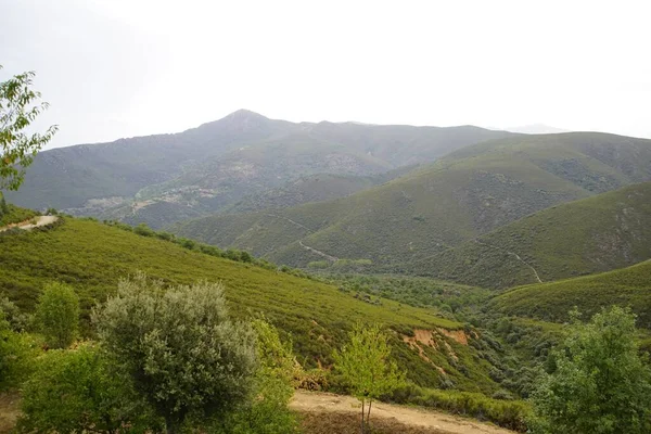 Uno Scatto Incredibile Paesaggio Montano Ricoperto Verde — Foto Stock