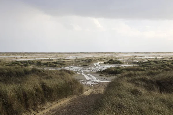 Gräset Och Sanddynerna Amrum Tyskland Den Grumliga Himlen — Stockfoto