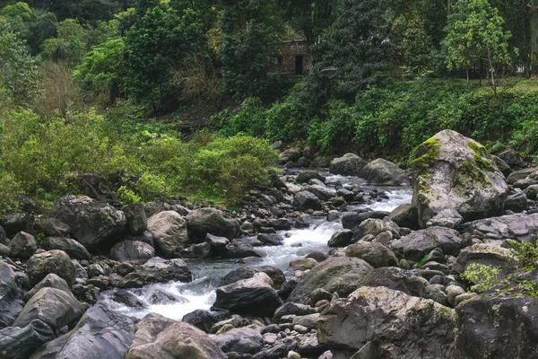Fluxo Rio Entre Rochas Enormes Uma Floresta Verde — Fotografia de Stock