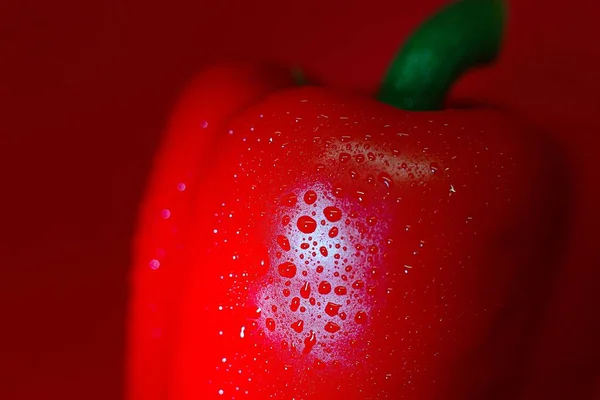 Eine Nahaufnahme Einer Feuchten Roten Paprika Perfekt Für Ihre Werbung — Stockfoto