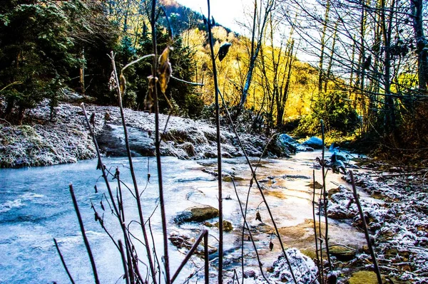 Rio Congelado Floresta Durante Inverno — Fotografia de Stock