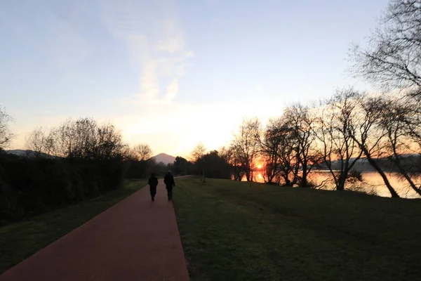 Mesmerizing Shot Sunset Beautiful Park — Stock Photo, Image