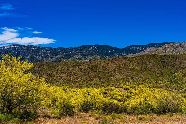 Impresionante Plano Paisaje Arbolado Colinas Bajo Cielo Azul —  Fotos de Stock