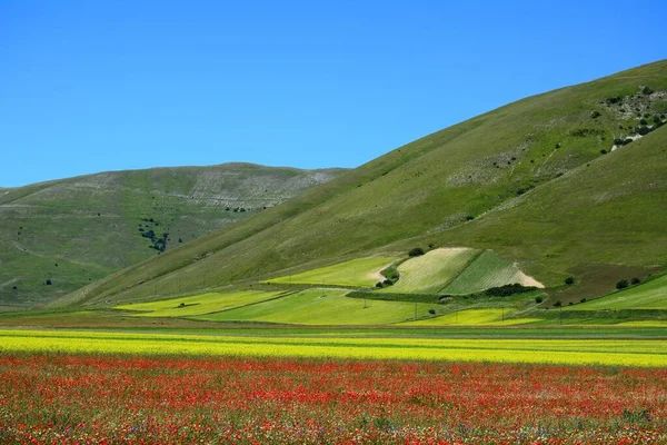 Een Horizontale Opname Van Het Adembenemende Kleurrijke Landschap Van Castelluccio — Stockfoto