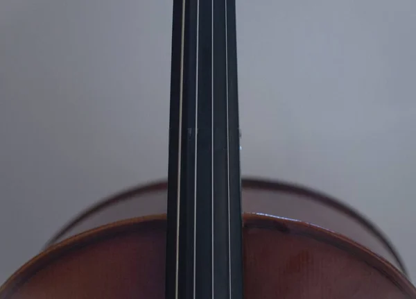 Een Selectieve Focusopname Van Toets Van Een Cello Met Een — Stockfoto