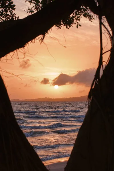 Una Silueta Una Puesta Sol Mar — Foto de Stock