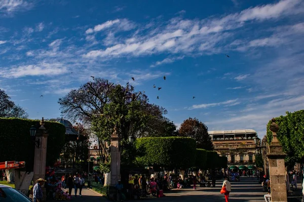 Morelia Mexico Mar 2020 Main Square Morelia Mexico Birds Flying — Stock Photo, Image