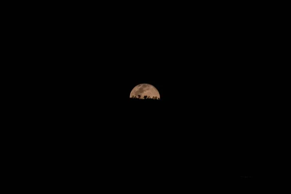 Belo Tiro Lua Durante Noite Escura — Fotografia de Stock