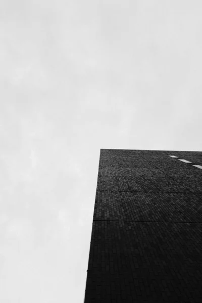 Eine Vertikale Graustufenaufnahme Eines Gebäudes Unter Dem Bewölkten Himmel — Stockfoto