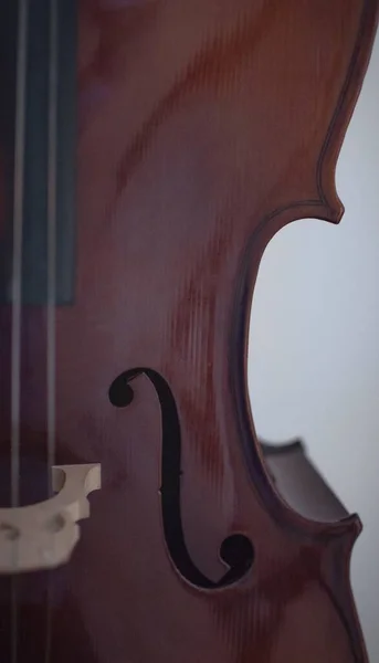 Colpo Verticale Del Ponte Foro Violoncello Con Sfondo Bianco — Foto Stock