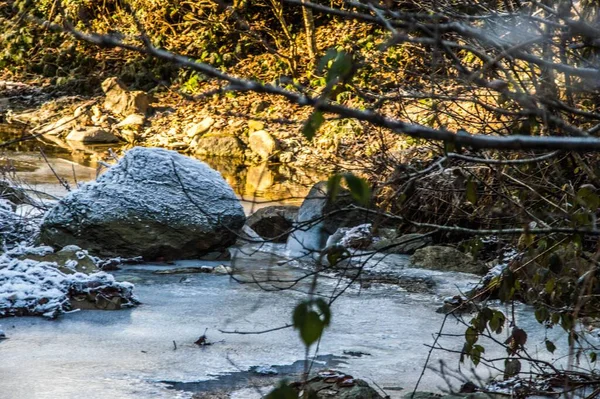 Tiro Foco Seletivo Rio Congelado Uma Floresta Durante Dia — Fotografia de Stock