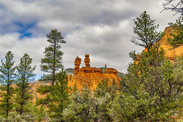 Vacker Utsikt Över Red Canyon Dixie National Forest Utah Usa — Stockfoto