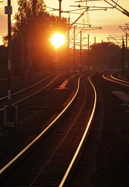 Tiro Vertical Uma Ferrovia Brilhando Refletindo Luz Solar Durante Pôr — Fotografia de Stock