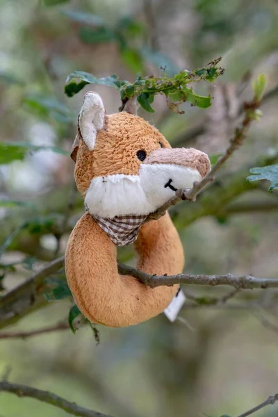 在国家纪念植物园的树上挂着一只毛绒玩具动物的选择性镜头 摄于儿童区 — 图库照片